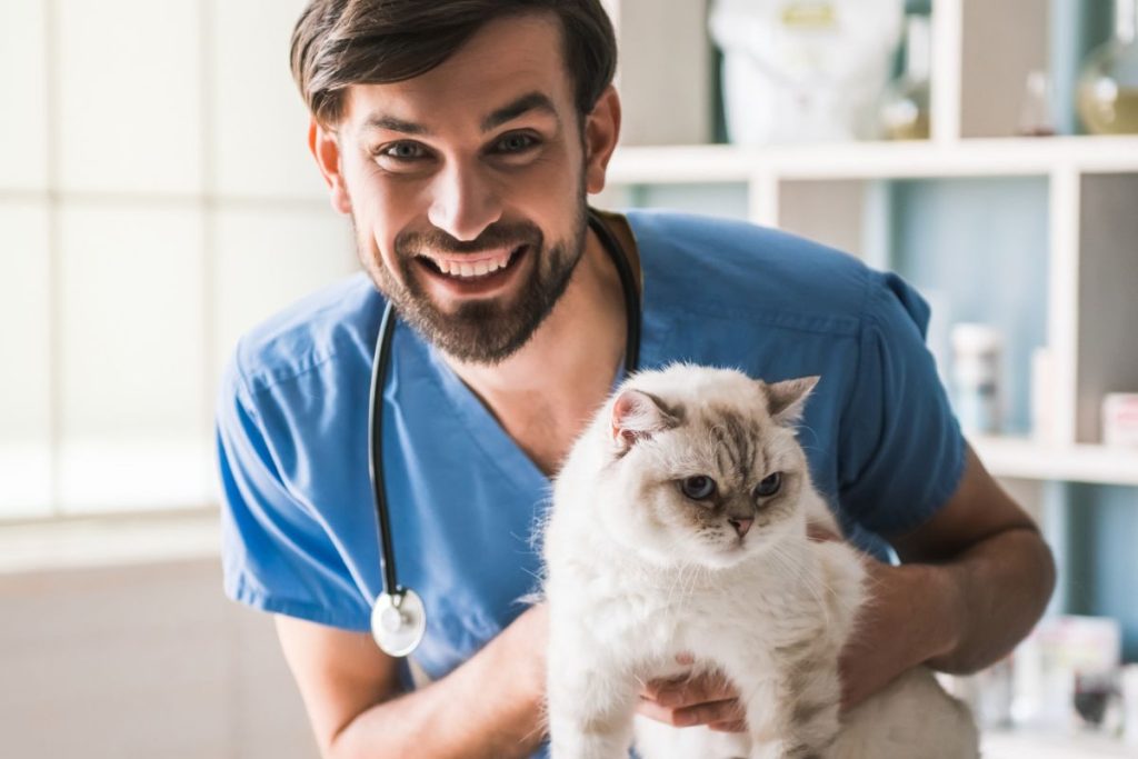 12-Comment les vétérinaires défendent les droits des animaux au quotidien